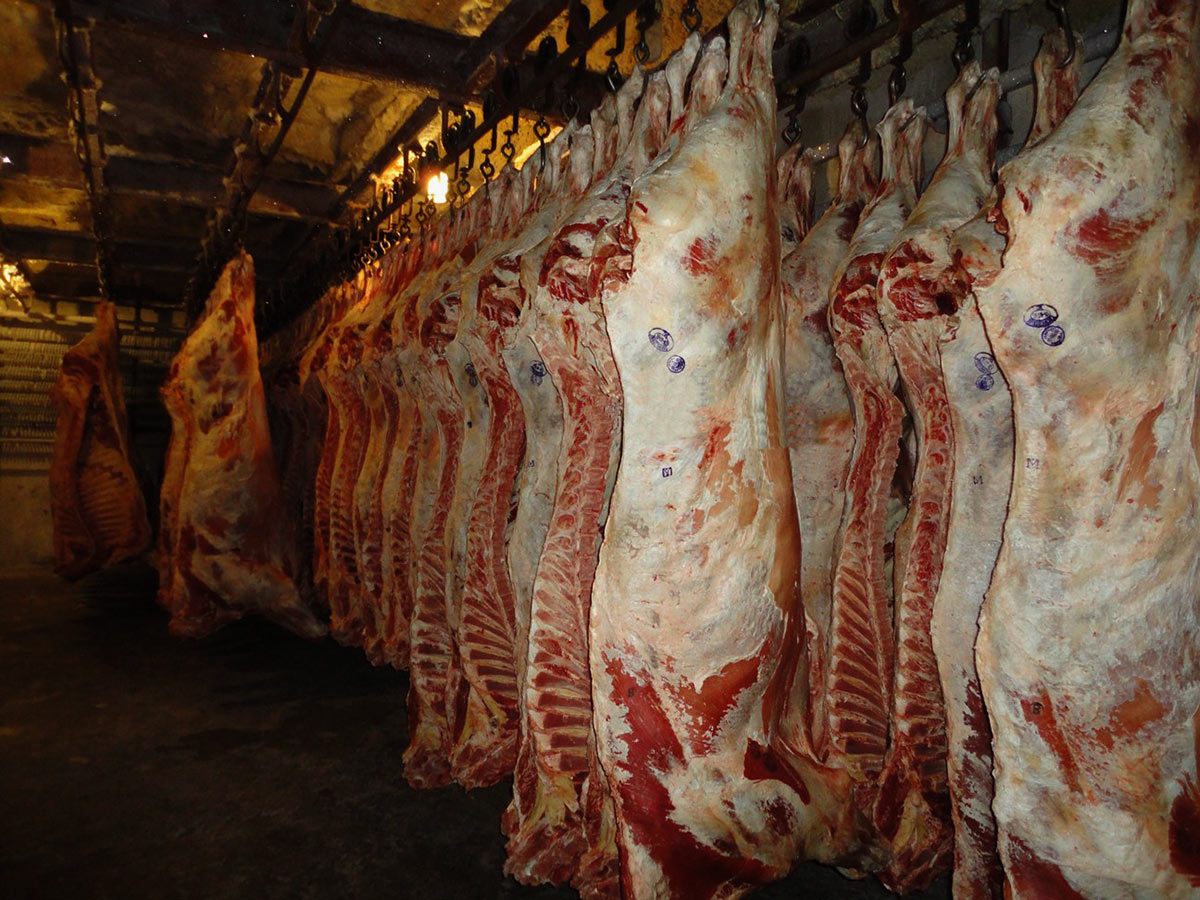 Человечество для выживания должно отказаться от мяса — доклад ООН